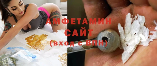 шишки Абаза