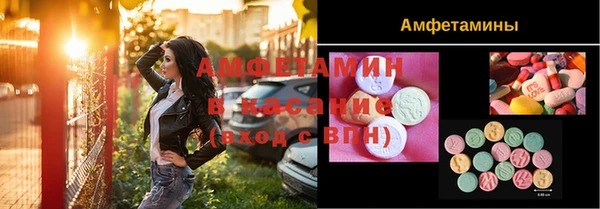 шишки Абаза