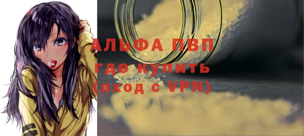 шишки Абаза
