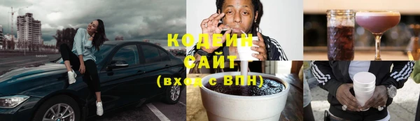 шишки Абаза