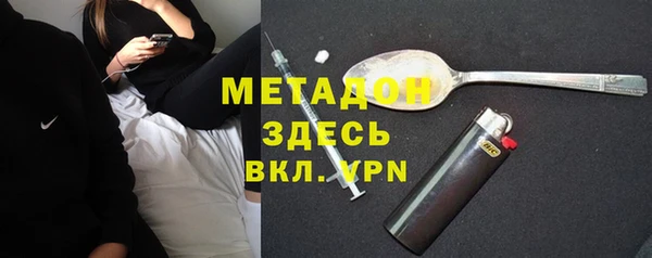 шишки Абаза