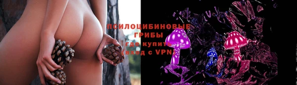 шишки Абаза
