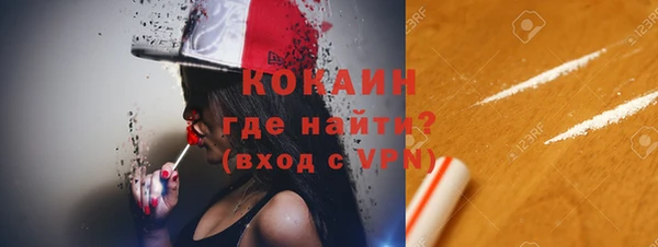 шишки Абаза