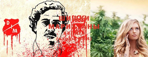 шишки Абаза