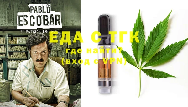 шишки Абаза