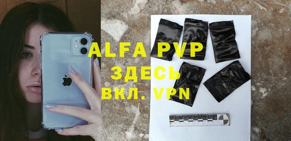 шишки Абаза